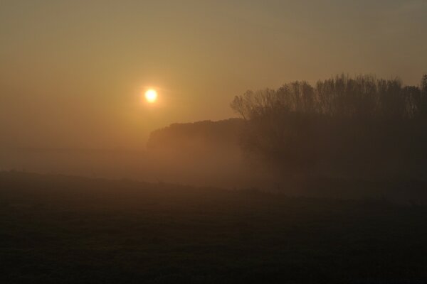 Dichter Nebel verminderte die Sicht