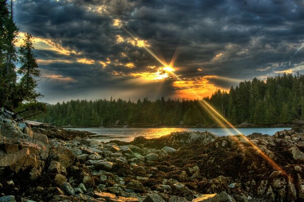 Wald bei Sonnenuntergang mit Reflexion im Wasser