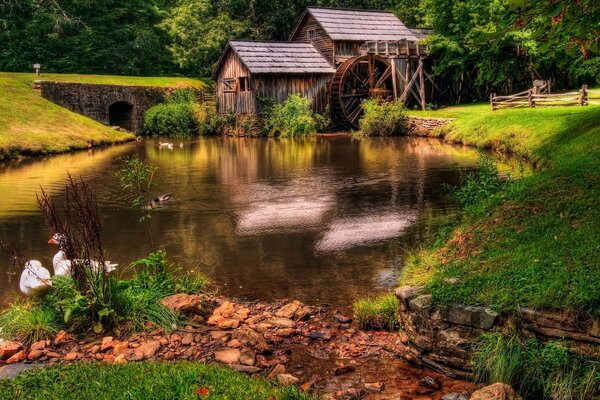 Bella casa con mulino a vento sulla riva dello stagno