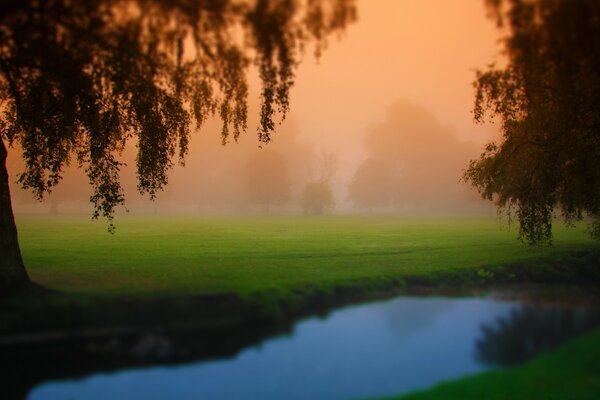 Campo de golf en brumoso amanecer