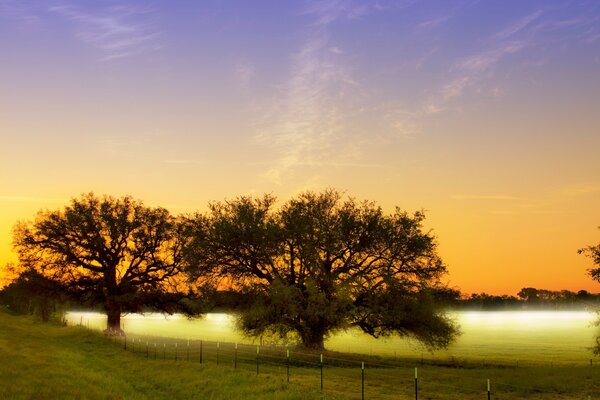 Early autumn mysterious fog