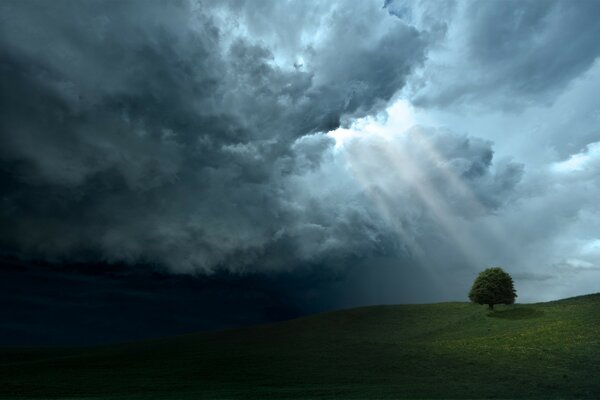 Wiesenlandschaft unter Gewitterhimmel