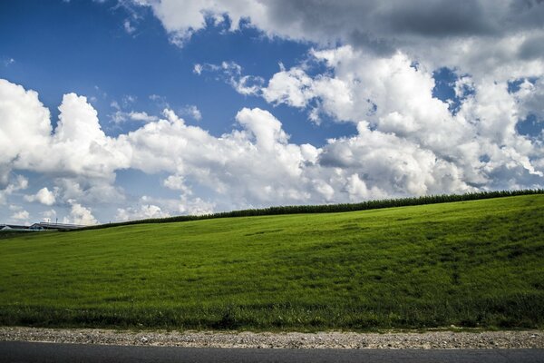 A bright green meadow against a blue cloudy sky