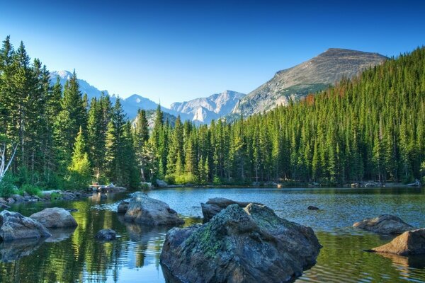 Lac de montagne au milieu de la forêt