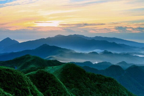 Summer foggy dawn in the mountains