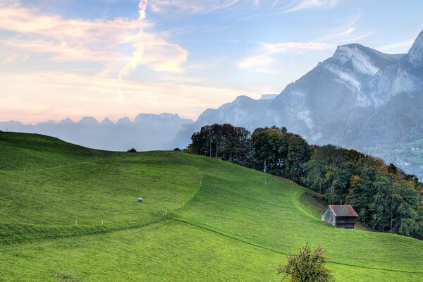 Maison dans les montagnes sur la pelouse verte