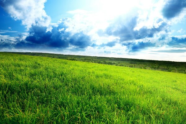 Infinidad de campos en medio del cielo nublado