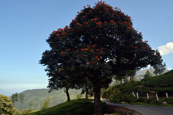 पहाड़ी रास्तों और सड़कों की सुंदरता