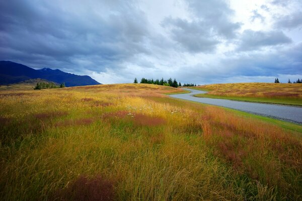 Fiume ticchettio tra il campo d autunno