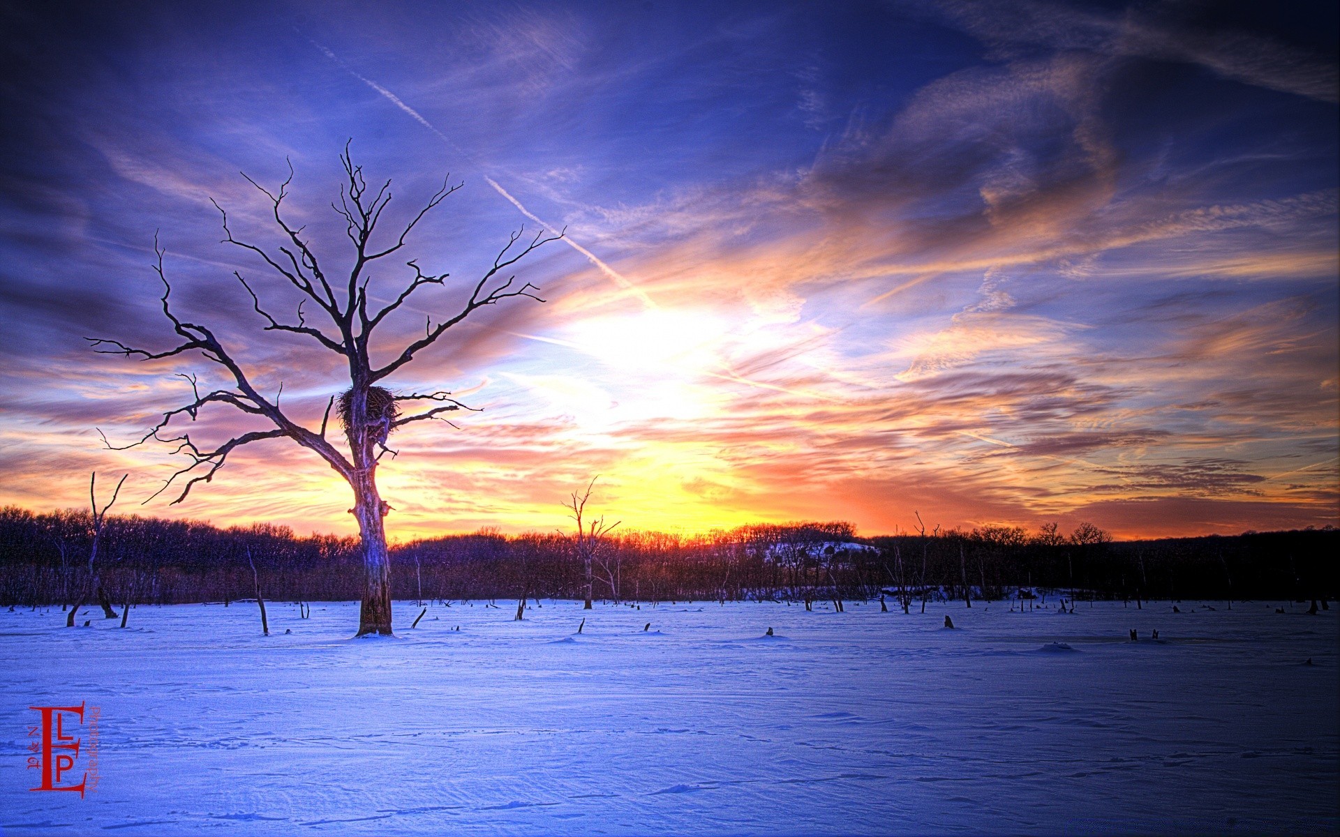 america sunset dawn water evening dusk nature landscape sky sun outdoors lake fair weather winter tree