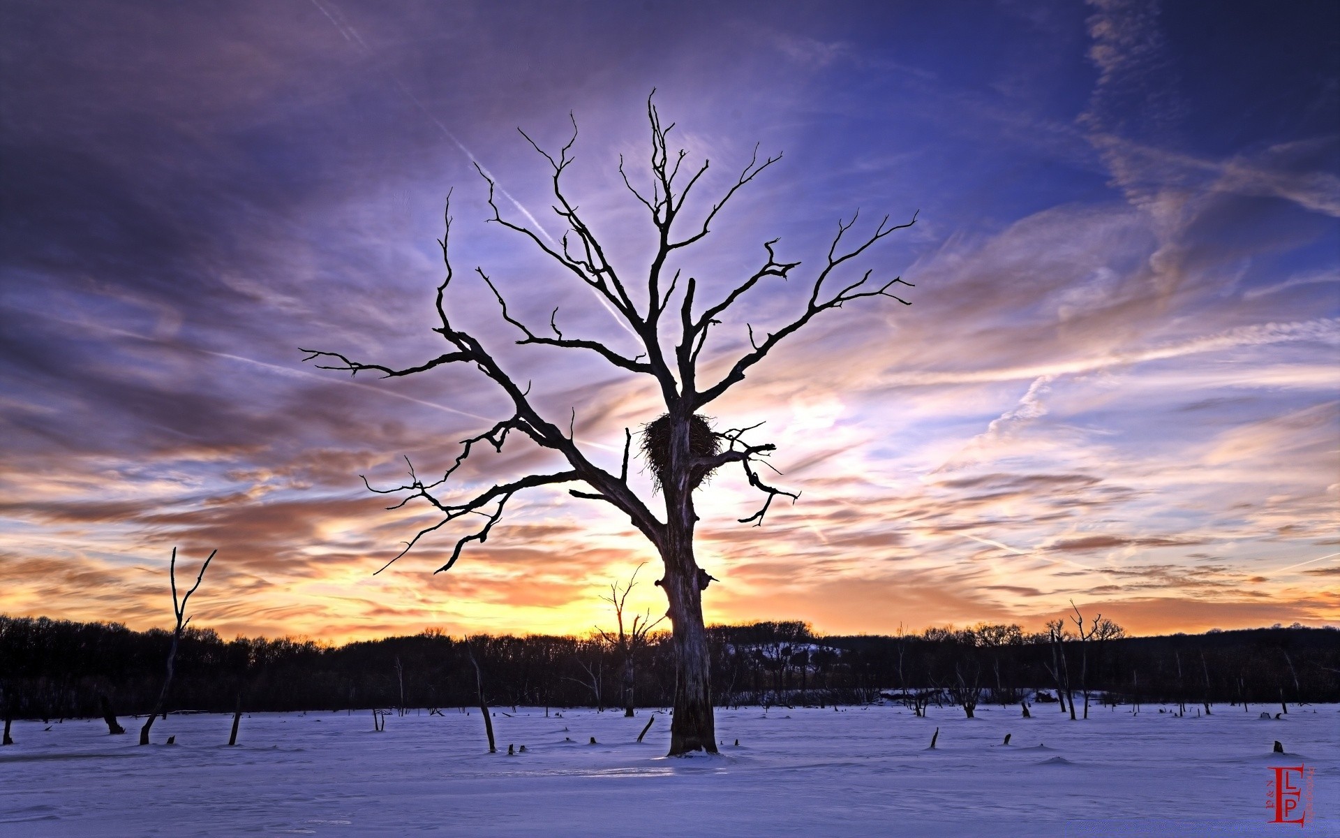 amérique paysage arbre hiver météo nature aube à l extérieur neige soir ciel bois coucher de soleil rétro-éclairé environnement solitude scénique