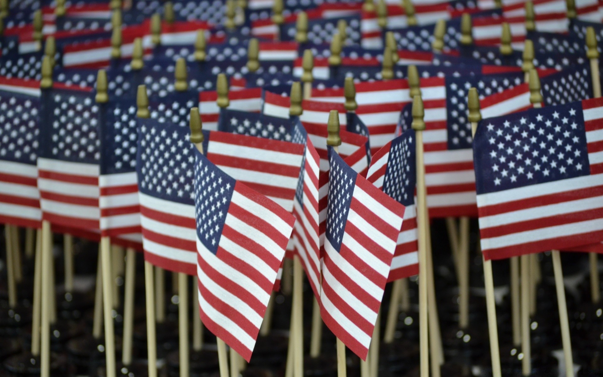 amerika flagge patriotismus streifen verwaltung wahlen stolz veteran freiheit unabhängigkeitstag banner demokratie organisation national persönlichkeit ehre wettbewerb bevölkerung viertel freiheit