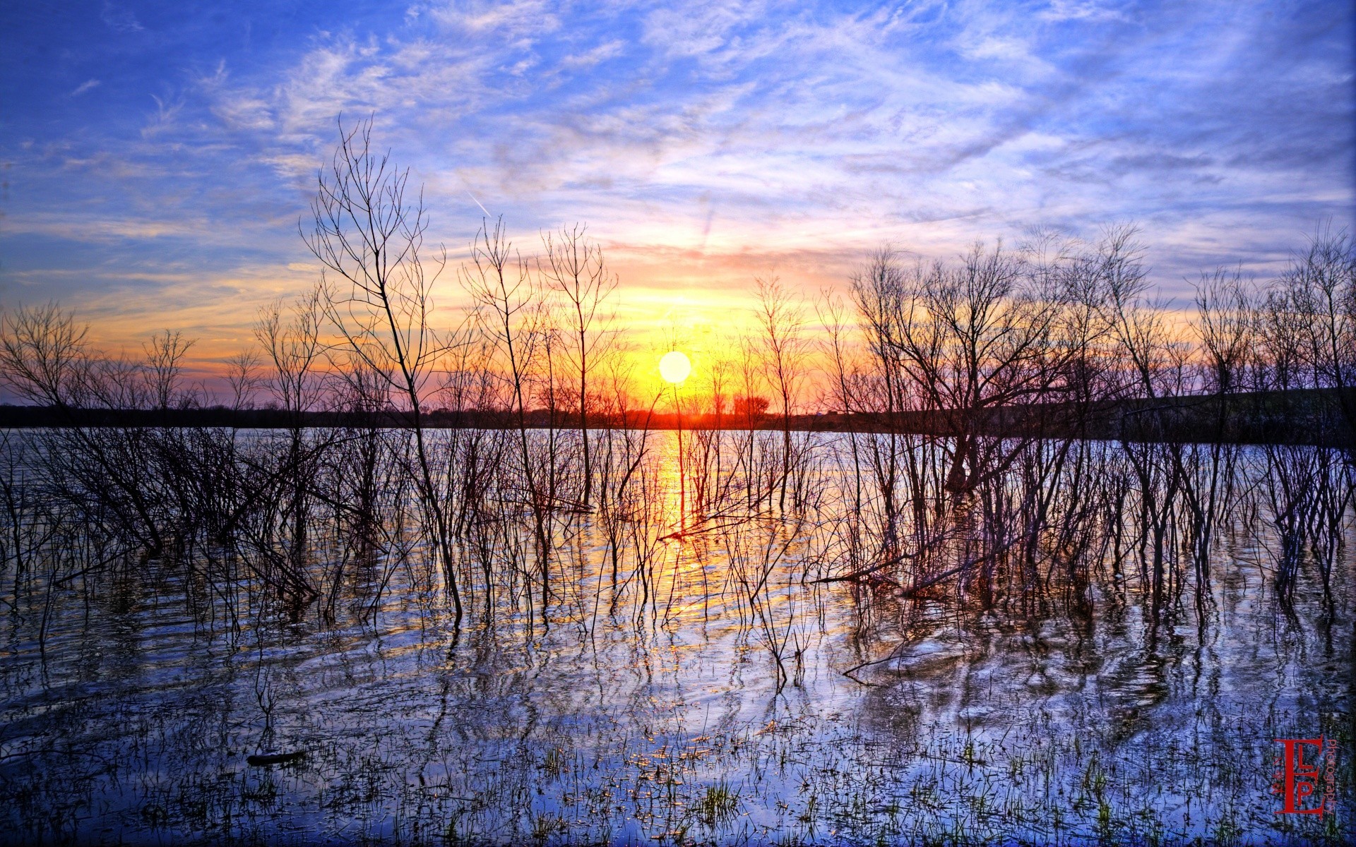 america dawn reflection sunset water landscape nature evening lake wood river tree outdoors sky light composure dusk fall fair weather weather