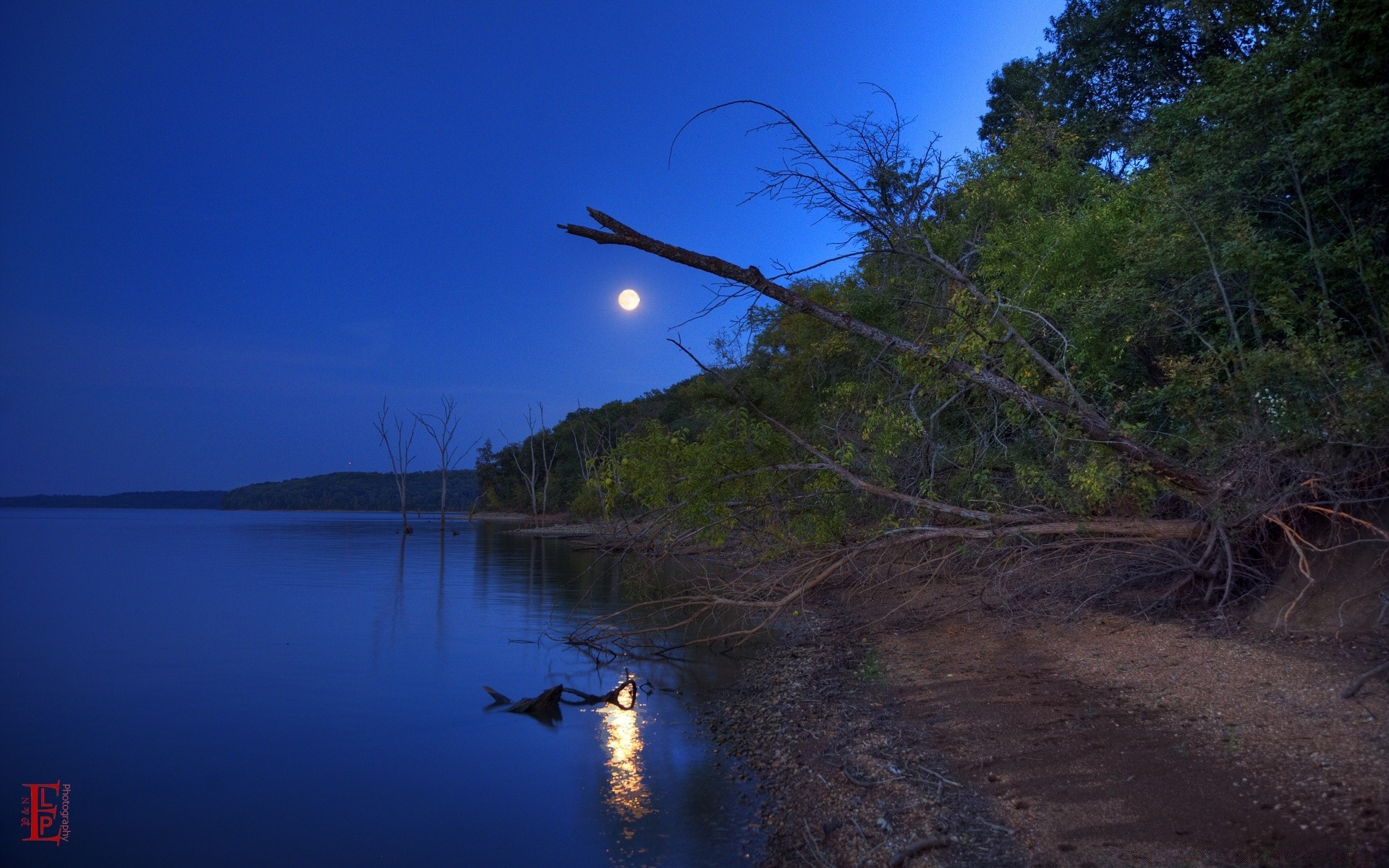 america water landscape tree evening lake river outdoors travel reflection nature sky seashore wood dawn sunset