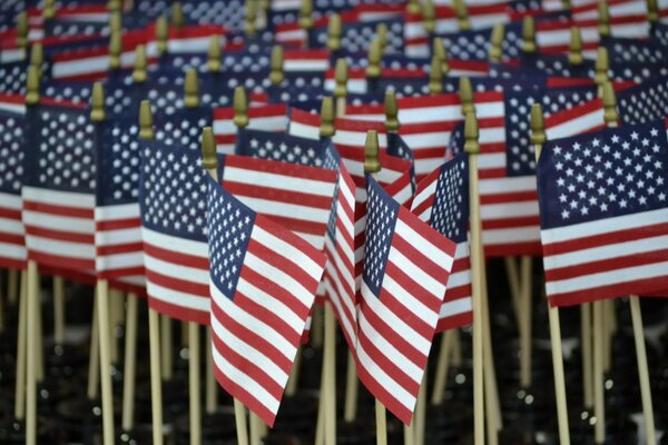 Many small flags of the United States of America with wooden handles