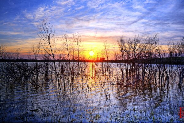 The swamp lake is beautiful