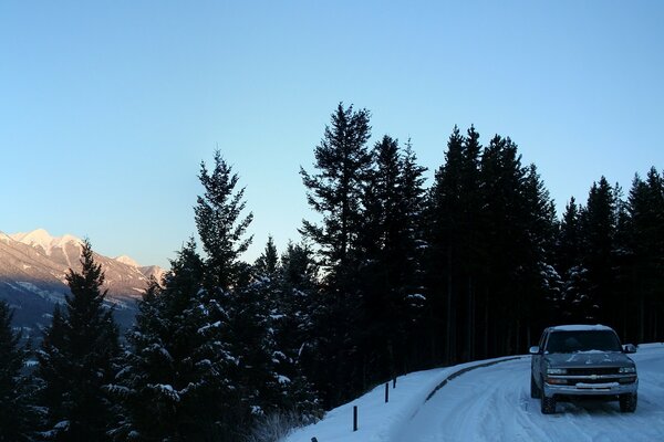 Estrada de Inverno. Floresta coberta de neve