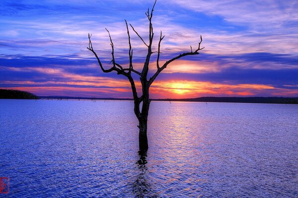 Riflesso del tramonto nelle acque Americane