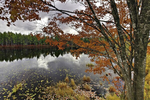 美国湖泊的秋季景观
