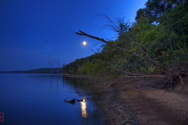 Notte sulla riva del fiume. Riflessione della Luna nell acqua