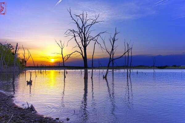 Beautiful sunset in nature by the water