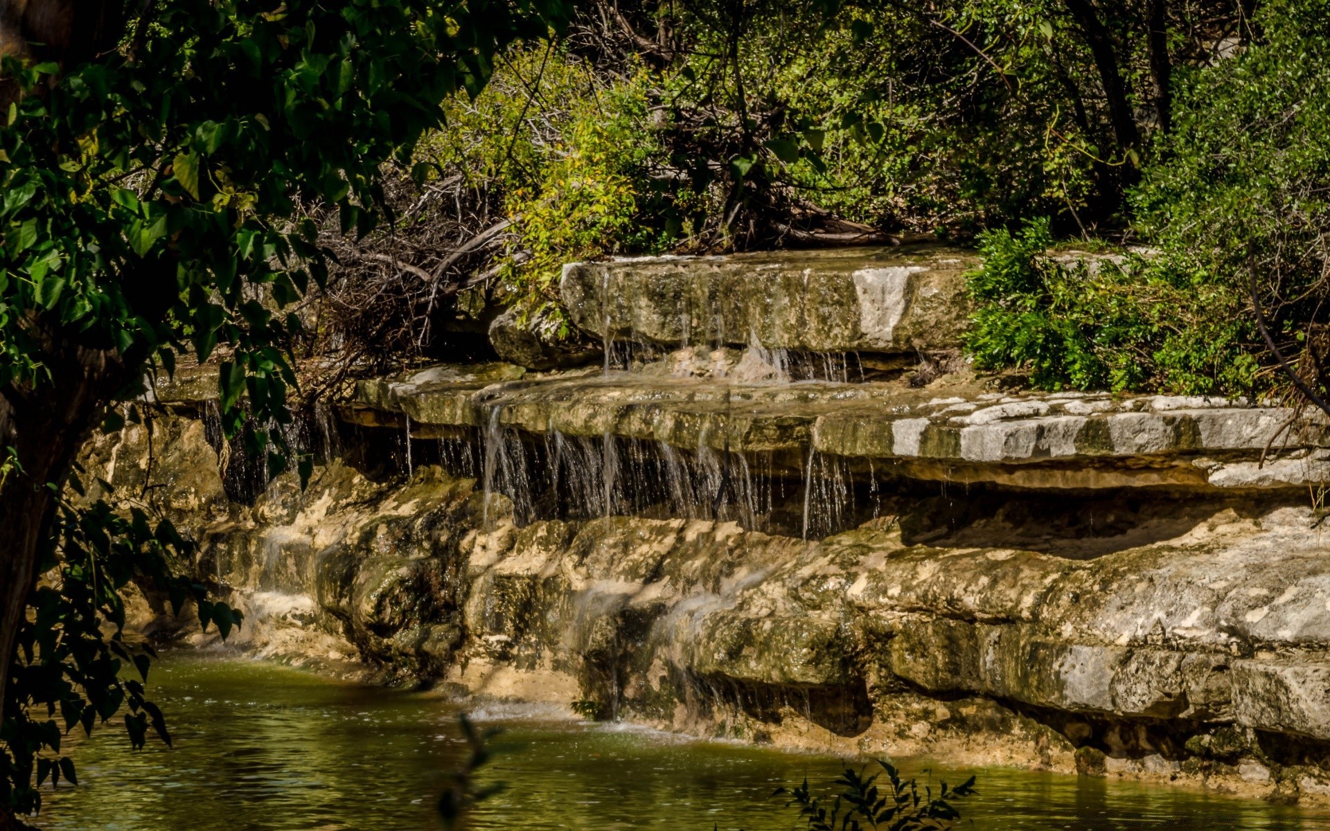 amerika su nehir doğa seyahat ahşap akış açık havada ağaç taş manzara kaya şelale yaprak park doğal yaz tropikal turizm akış