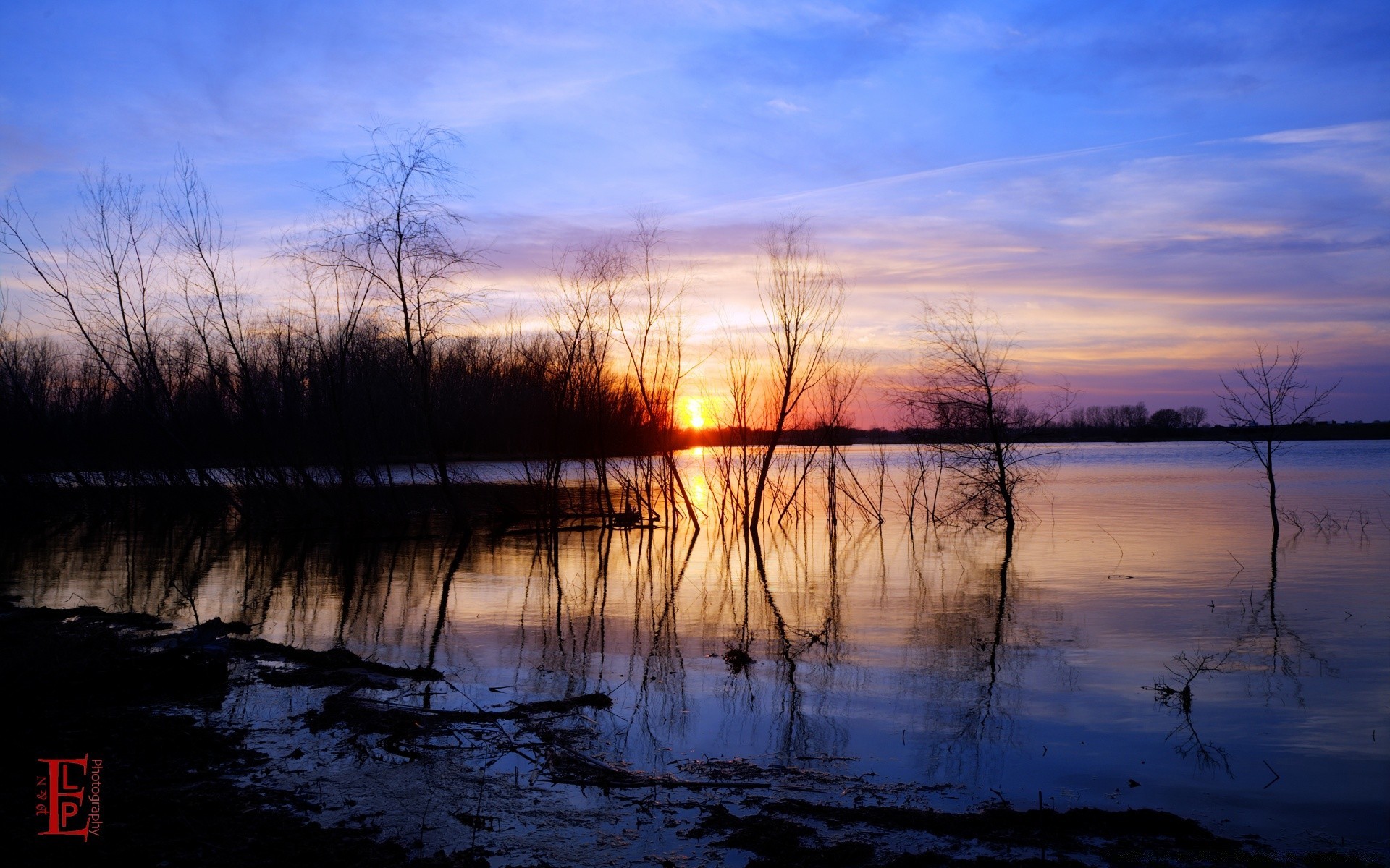 америка світанок відображення води захід природа пейзаж озеро ввечері на відкритому повітрі небо сутінки дерево силует річка осінь світло деревини плесід гарну погоду