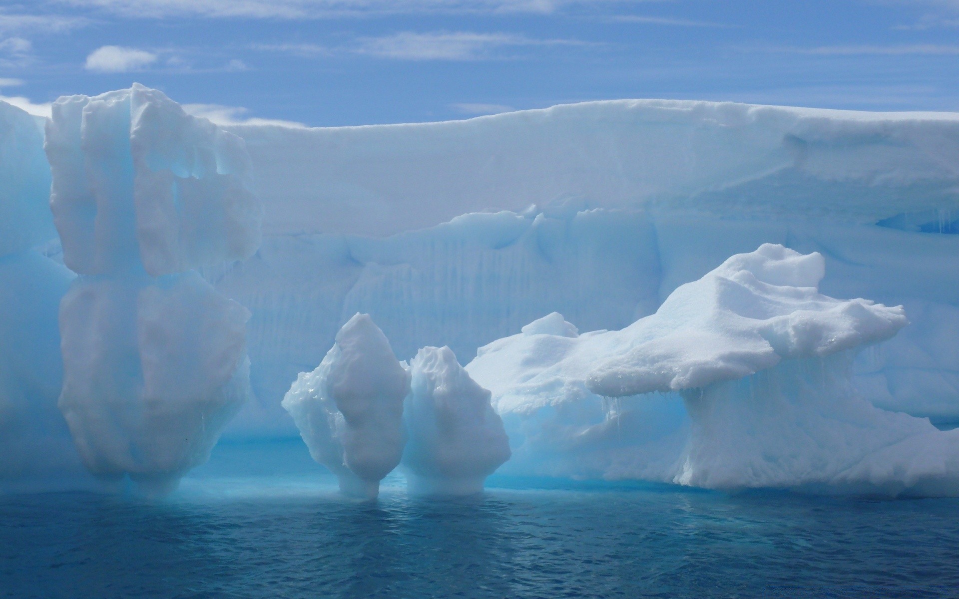 antarctica iceberg ice melting frosty swimming snow water glacier climate change cold winter greenland global warming nature outdoors frozen antarctic sea frost