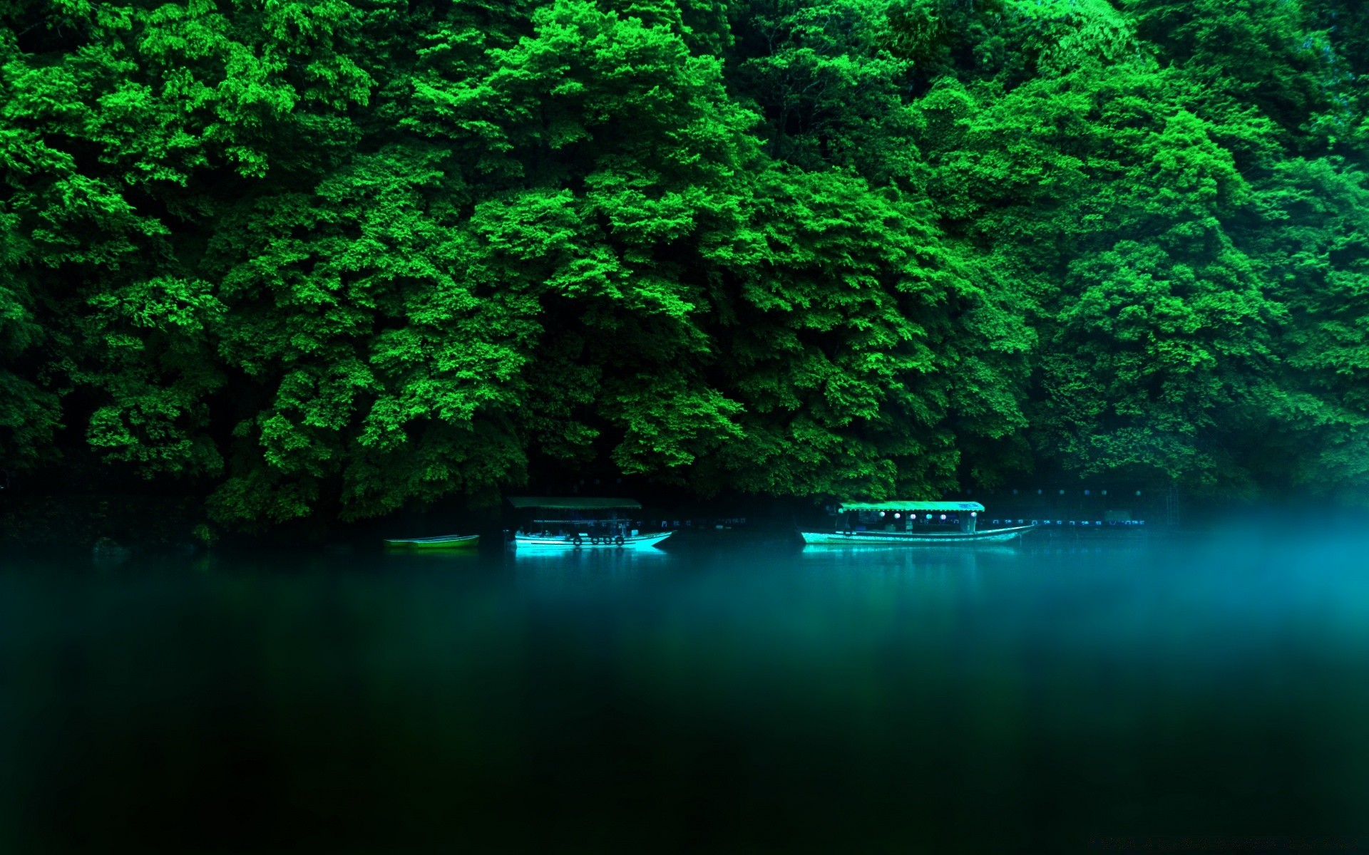 asia albero acqua all aperto natura paesaggio legno riflessione lago viaggio fiume luce