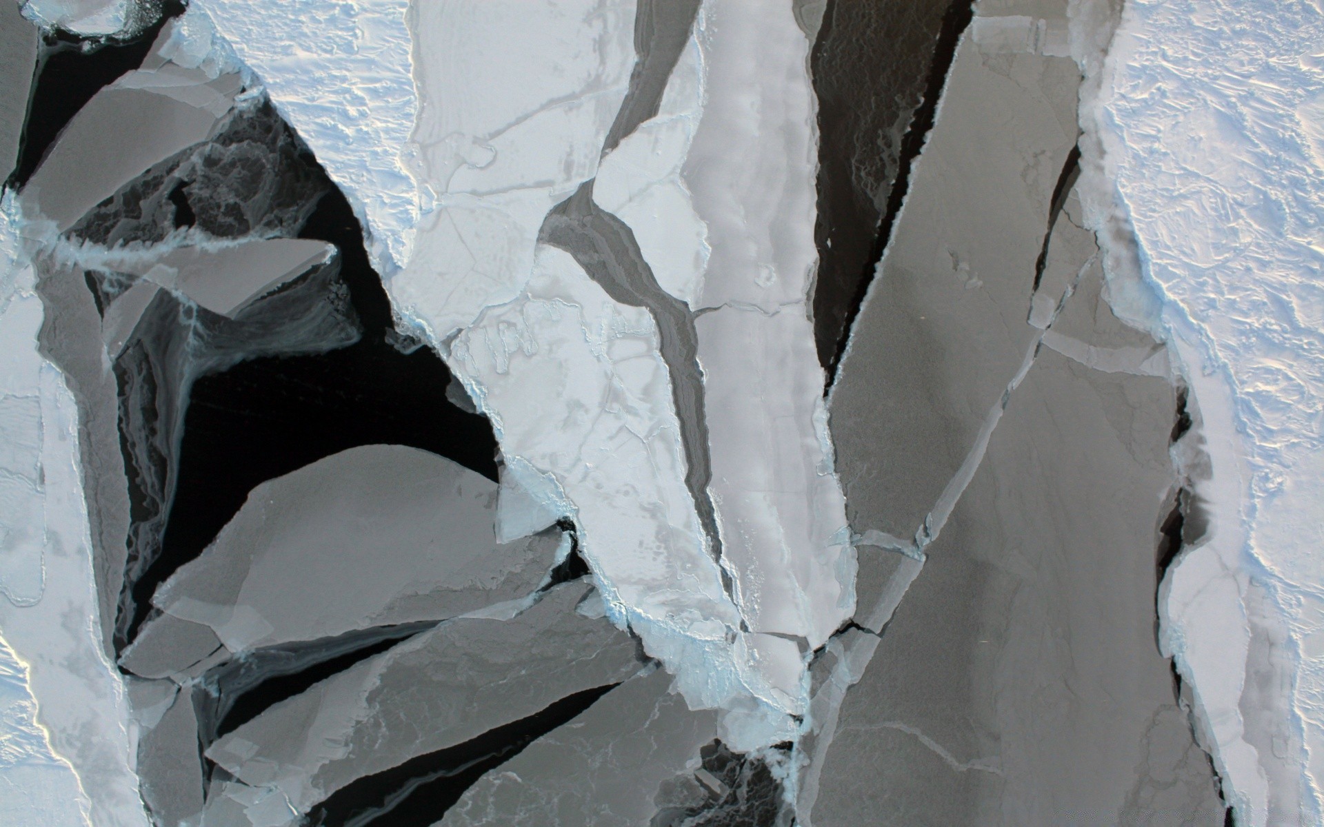 antártida nieve hielo invierno hoja escarcha papel frío desgaste escarchado snap naturaleza fusión cartón exploración glaciar áspero congelado roto al aire libre