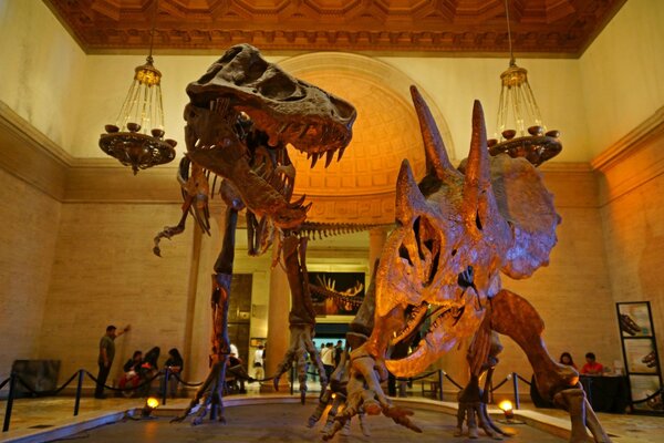 Deux sculptures de dinosaures au musée