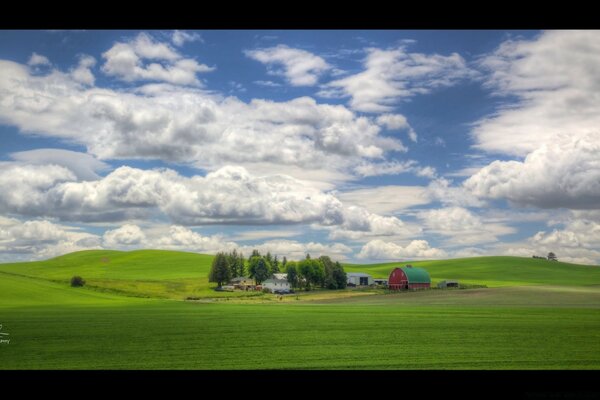 Landscape green grass and blue sky