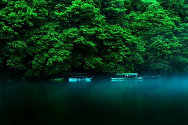 Barcos no lago contra o pano de fundo da exuberante vegetação verde