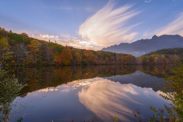 Río de montaña entre las orillas del bosque