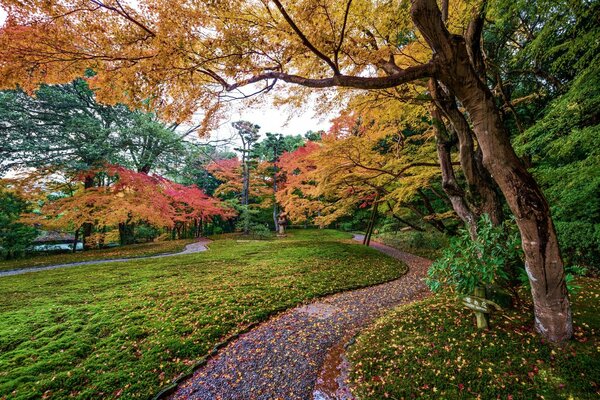 Beautiful park landscape in autumn