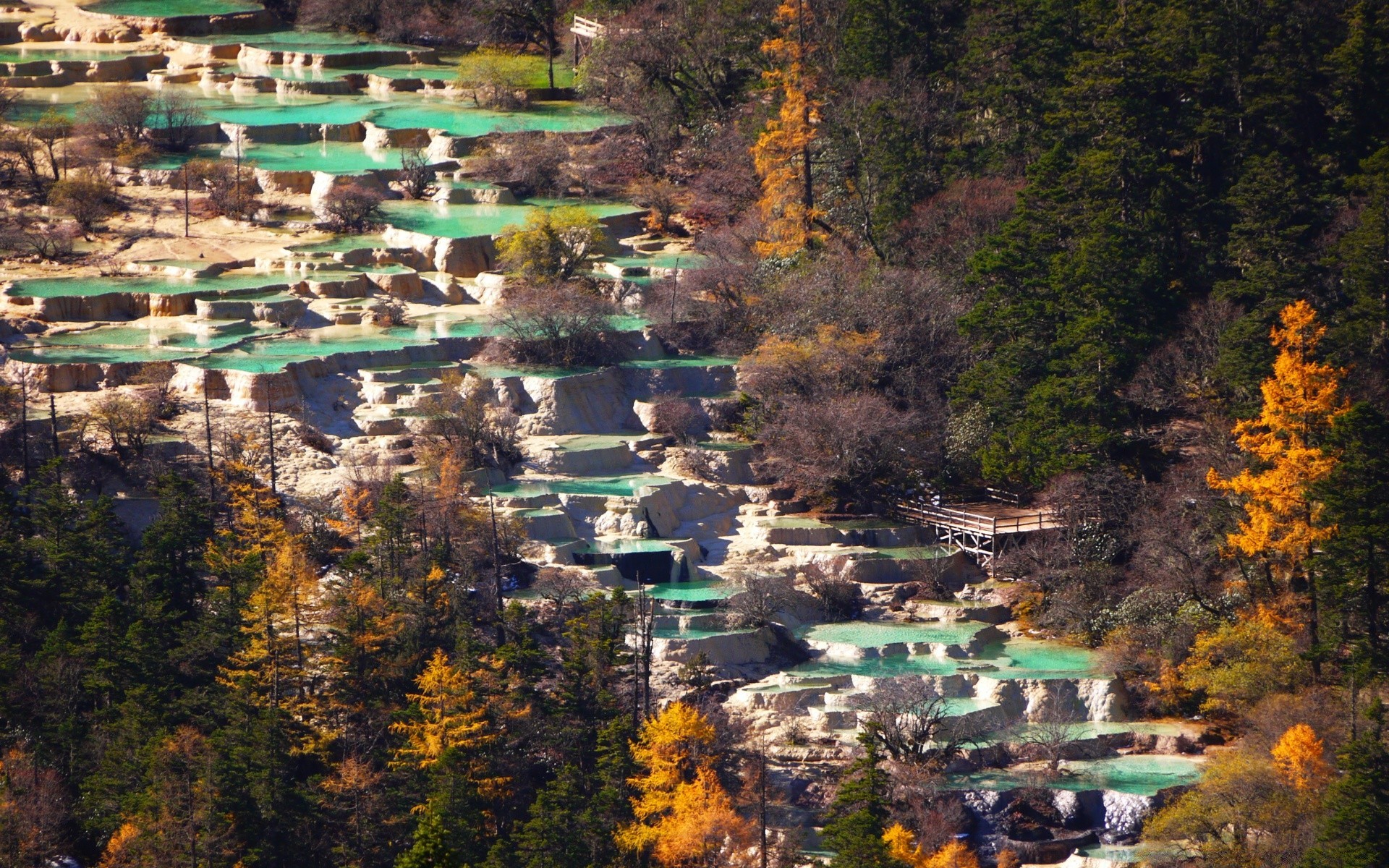 asia viaggi albero all aperto autunno acqua paesaggio legno città natura scenico architettura