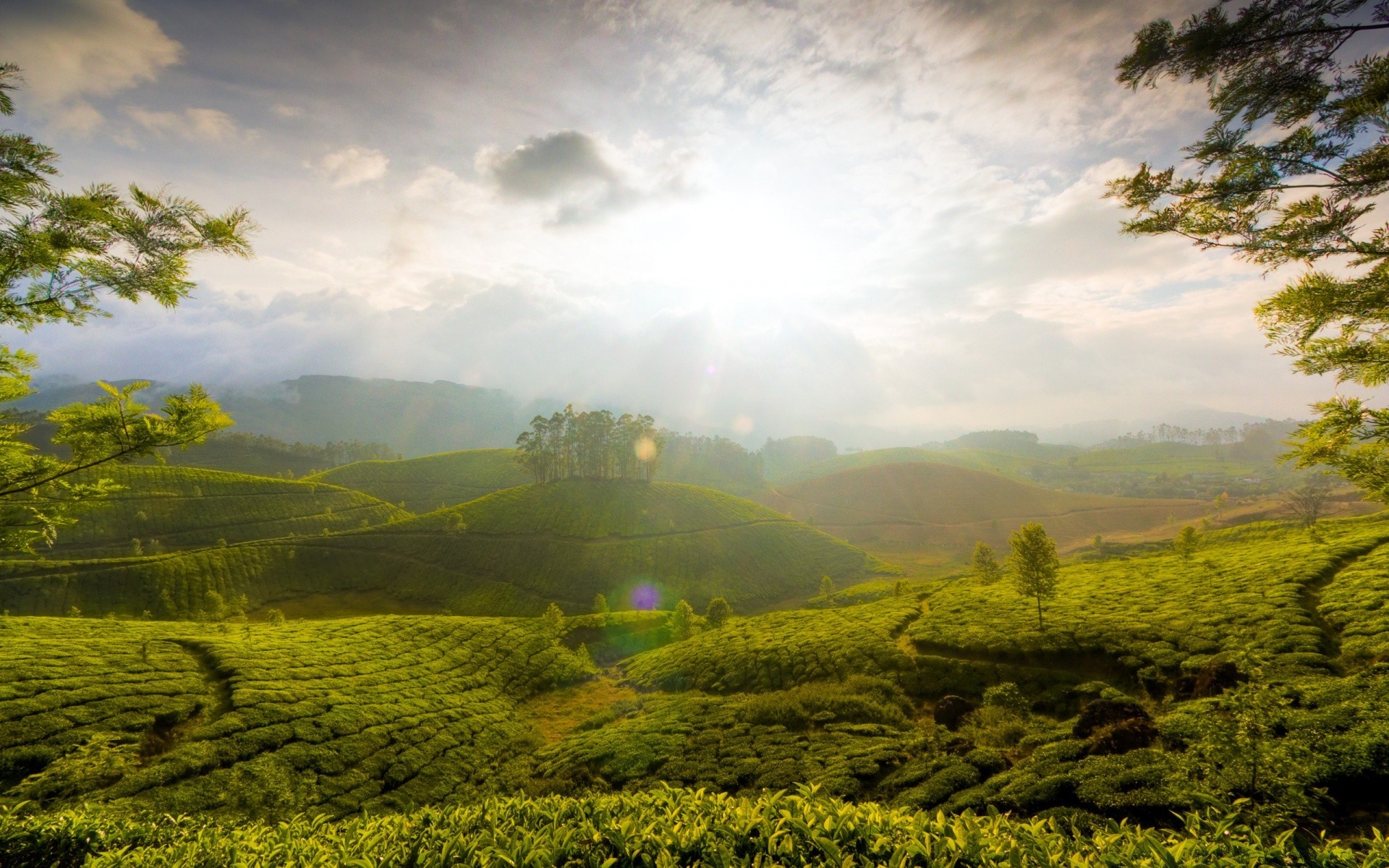 asie paysage nature arbre montagne colline bois en plein air scénique l agriculture voyage terres cultivées ciel rural aube été campagne champ brouillard herbe