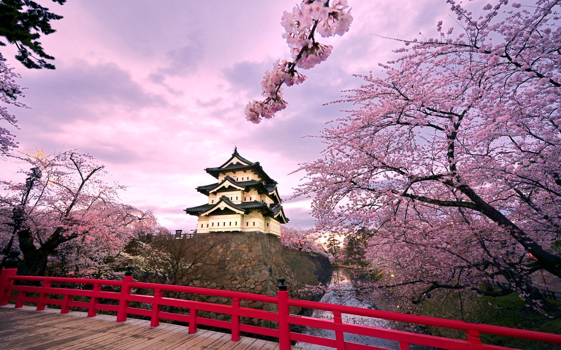 ásia árvore parque jardim viagens arquitetura paisagem ao ar livre flor xintoísmo céu tradicional cereja cultura bela templo natureza turismo temporada zen