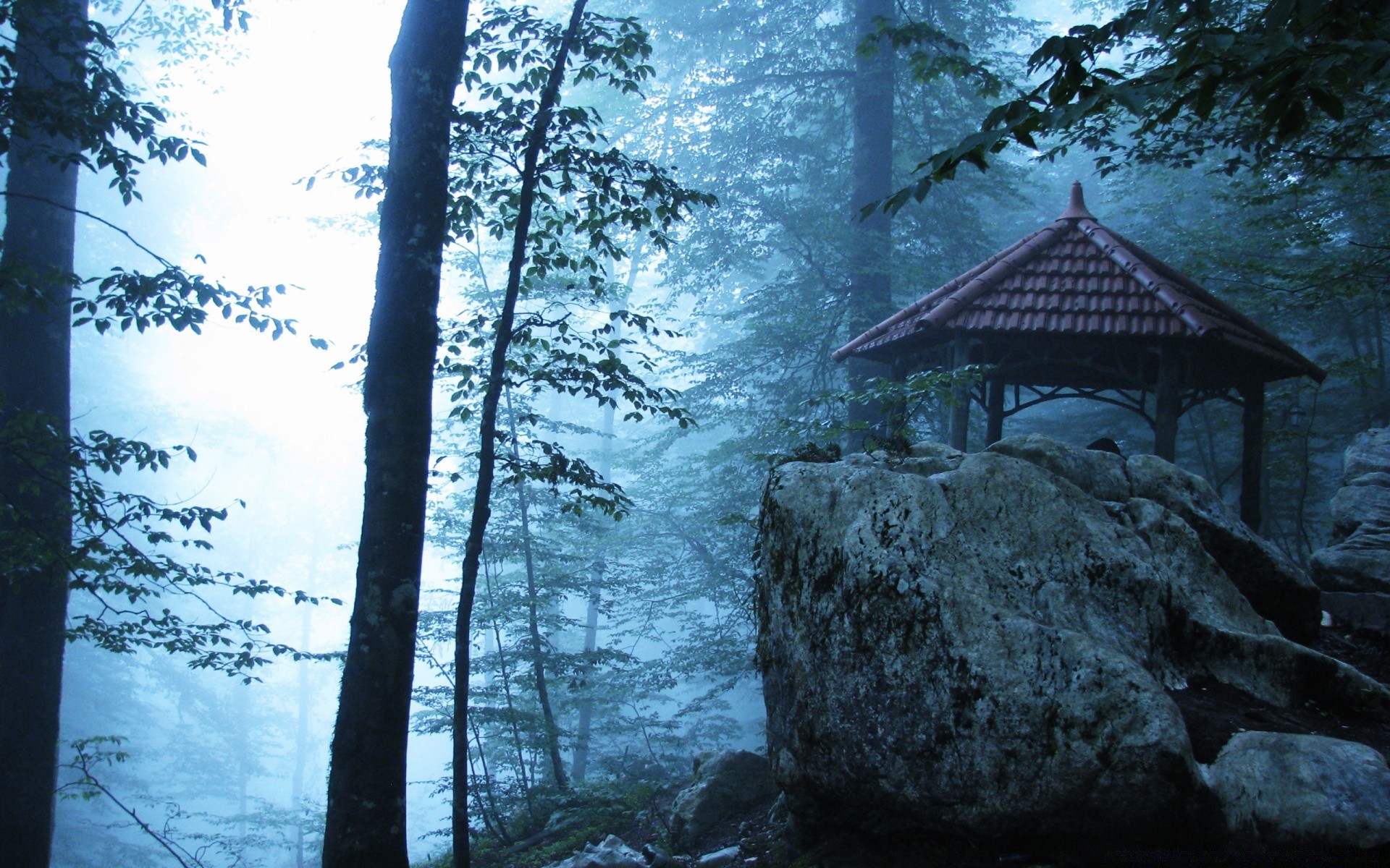 asia legno legno natura all aperto acqua paesaggio luce inverno viaggi