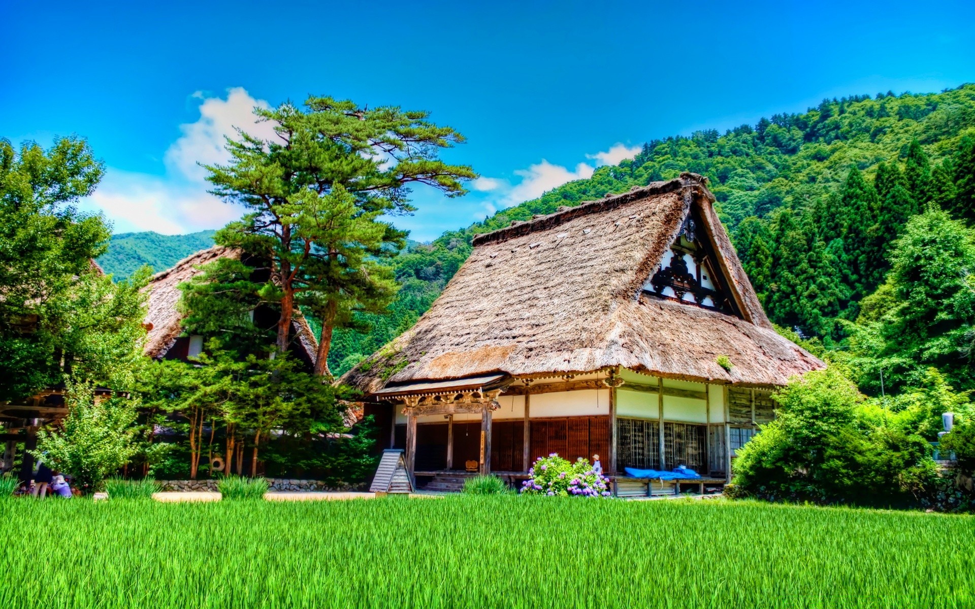 asia wood house tree nature summer travel grass outdoors landscape building rural traditional wooden sky family garden hut farm country