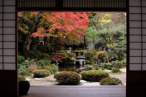 View of the green Asian garden