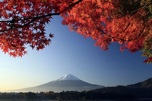 Autumn maple on the background of a mountain peak