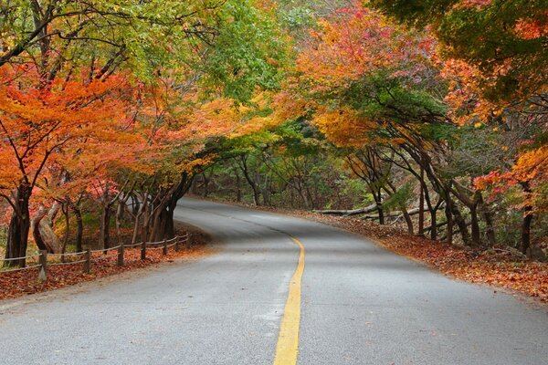 Parc National de nezhansan