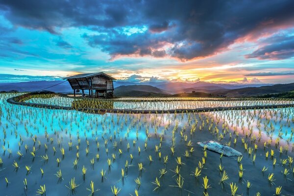 Asiatische Landschaft. Mit Wasser überflutete Reisfelder, einsame Hütte und Berge