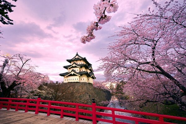 Japanese Pagoda in rose trees