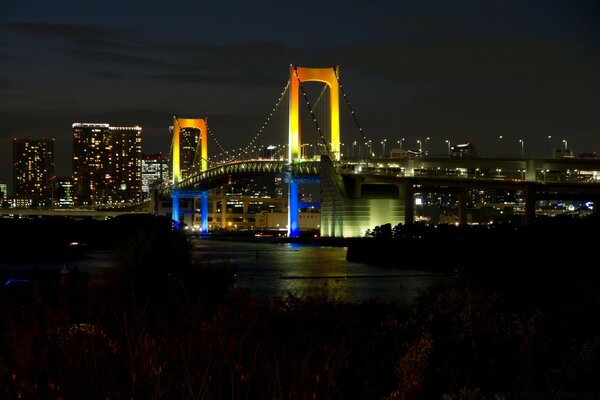 Éclairage lumineux du pont la nuit