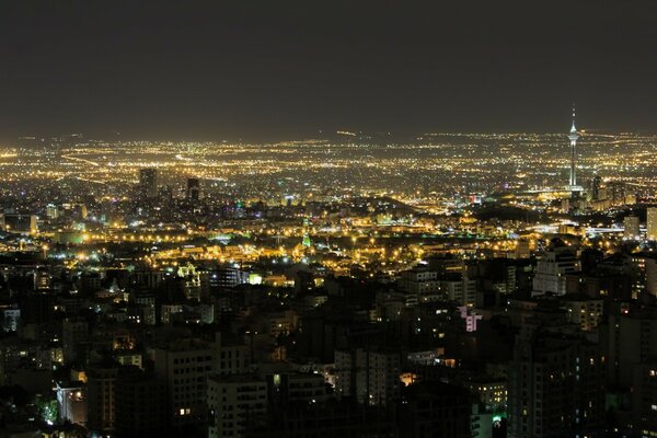 Evening lights of the big city