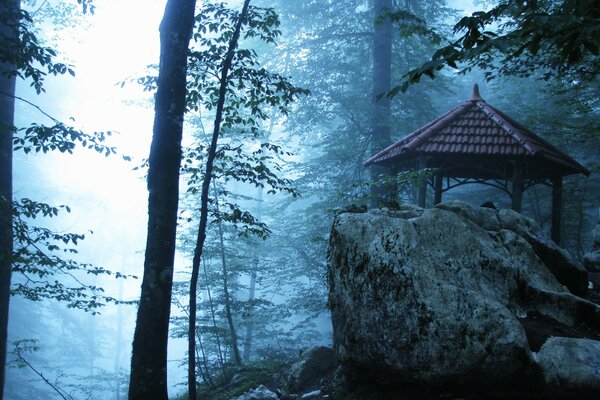 A lonely gazebo in the misty forest