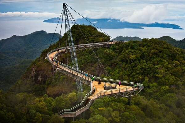 Puente colgante. Mirador. Copas de árboles verdes