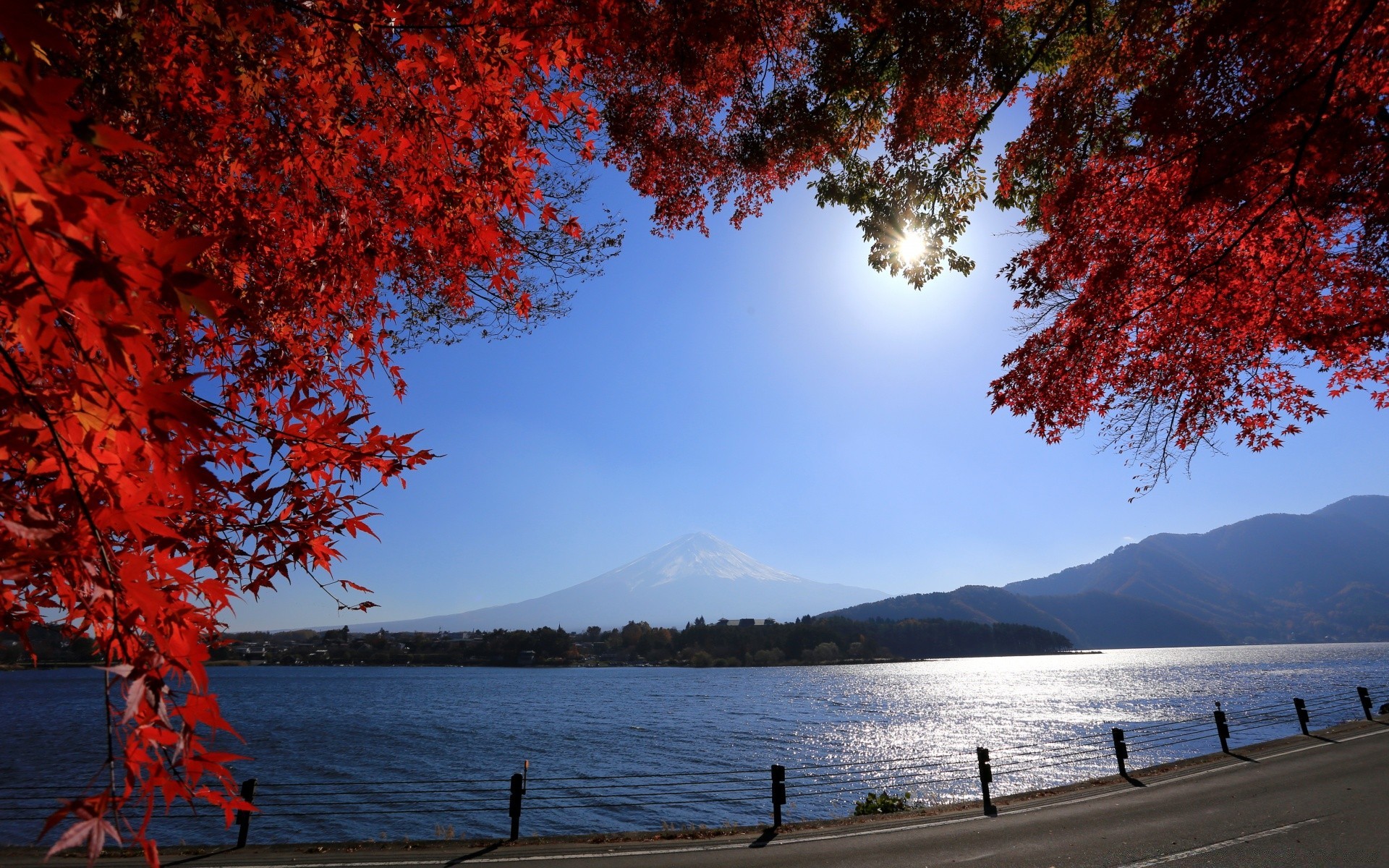 asia albero autunno paesaggio natura foglia di legno acqua all aperto lago stagione scenic alba maple viaggi cielo